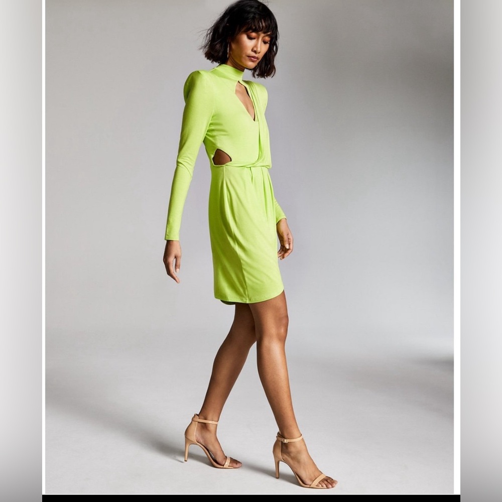 Zerina Akers for bar III dress